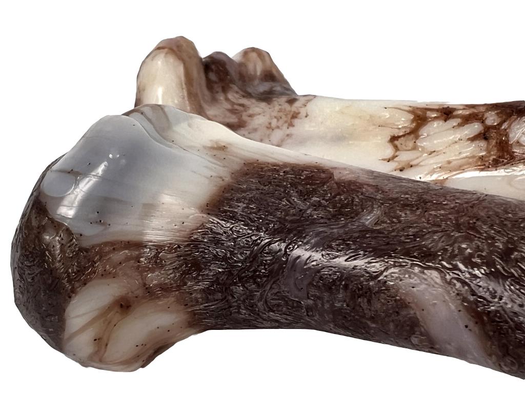Jurassic Bone 7" dog chew