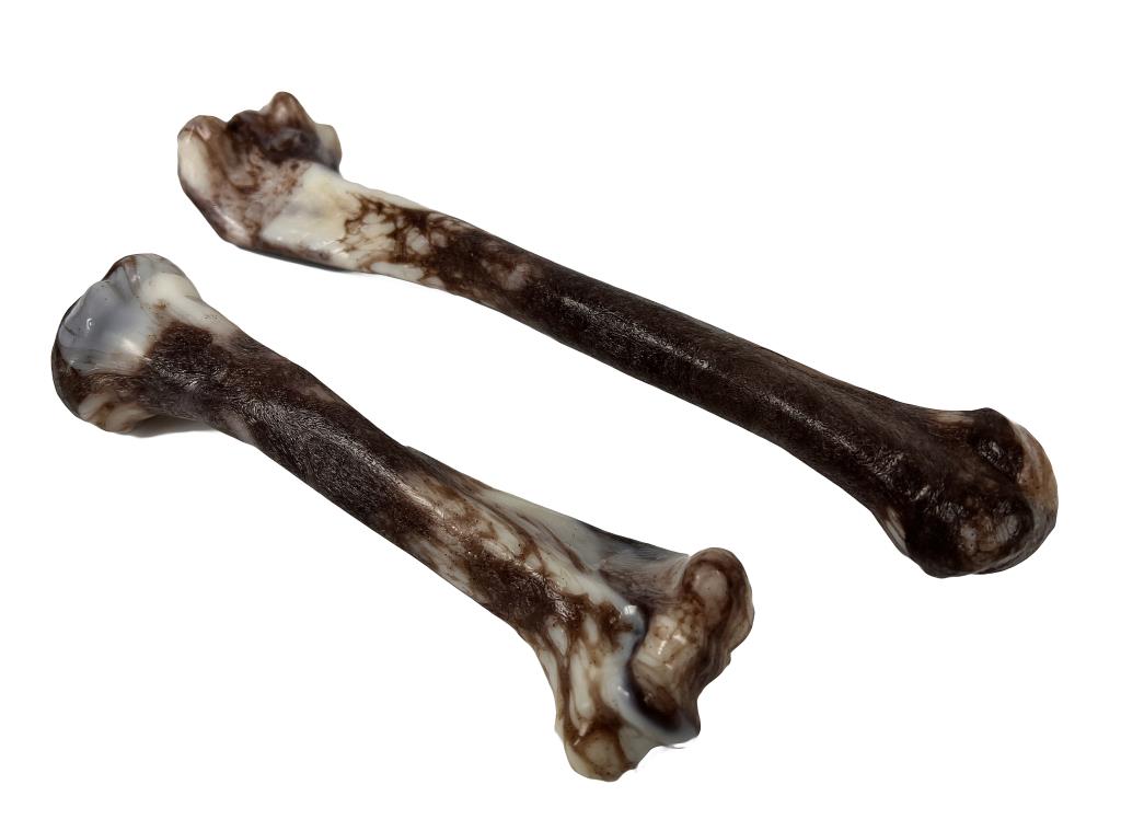 Jurassic Bone 7" dog chew