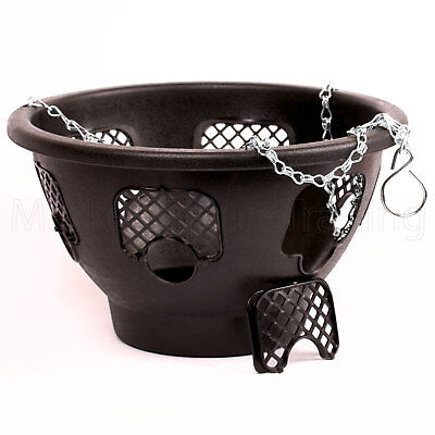 Green Jem 12-Inch Plastic Hanging Basket - Black