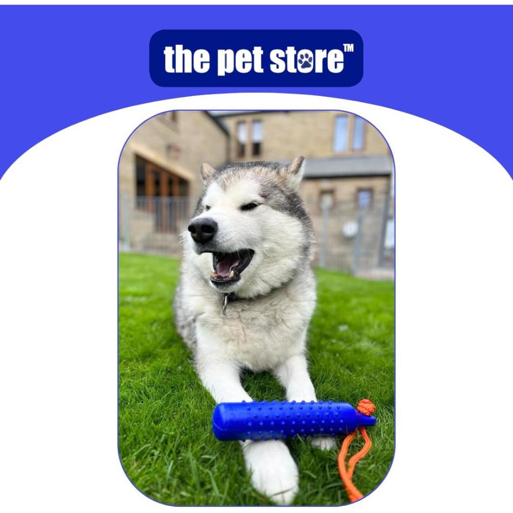 The Pet Store The Gorilla Tuff Floating Training Dummy for Throwing and Retrieval Games on land and in Water, Healthy Exercise for your Dog, Emperor Blue