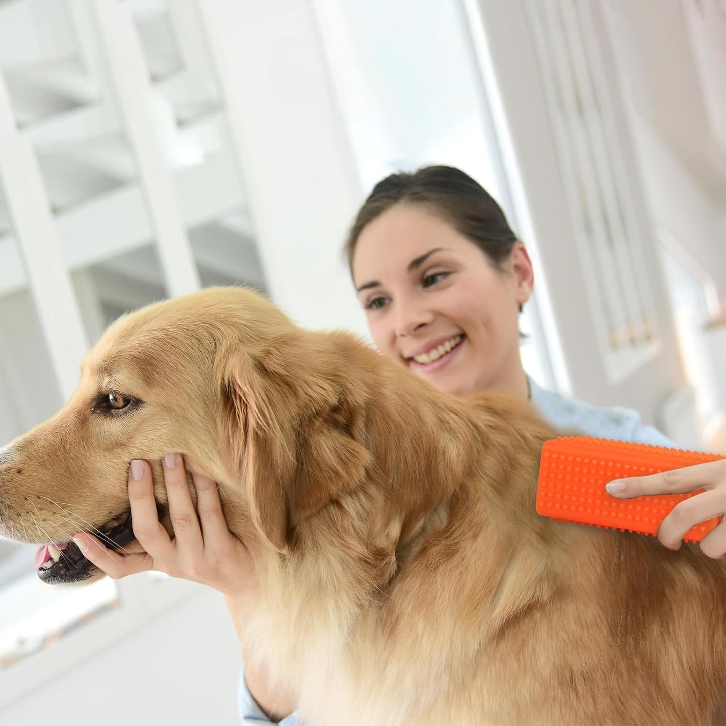 pet hair removal block Carpet Upholstery Car