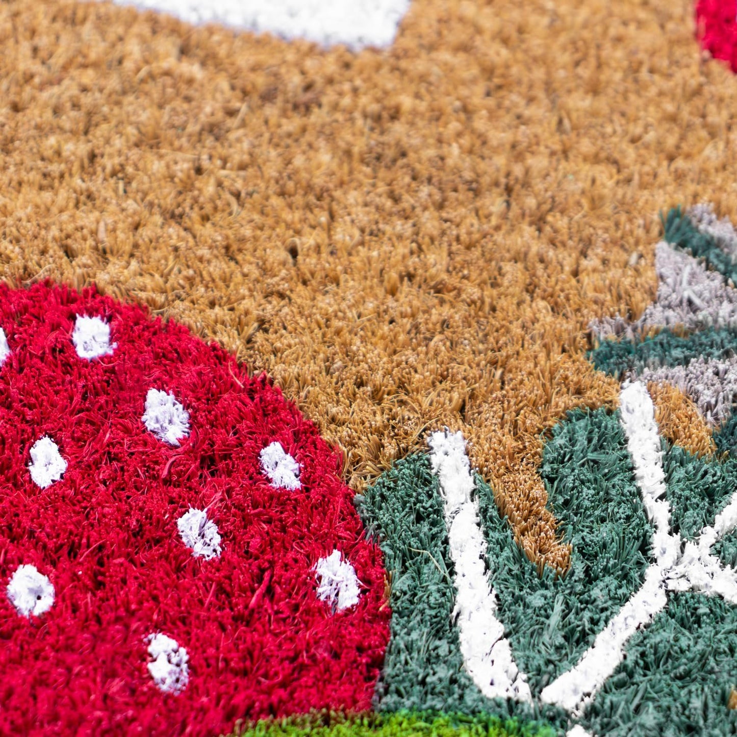 JVL Eco-Friendly Latex Backed Coir Entrance Doormat, 40x70cm - Strawberry Fields